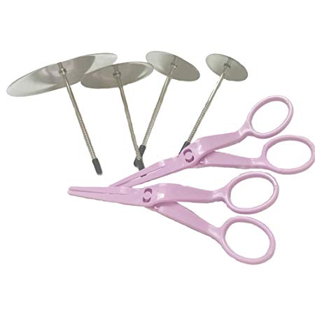 Cake flower nail & Flower Lifters 6 Pcs/set,Ubaker Stainless Steel Cake Cupcake Decor Tools Baking Tools for Icing Flowers Decoration