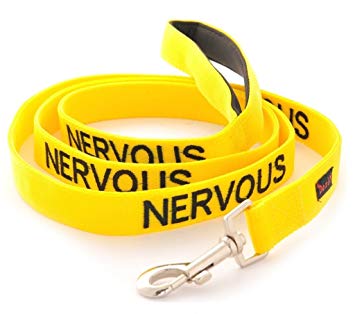 NERVOUS Yellow Color Coded 2 4 6 Foot Padded Dog Leash (Give Me Space) PREVENTS Accidents By Warning Others of Your Dog in Advance