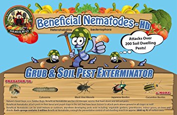 50 Million Live Beneficial Nematodes Hb - Soil Pest Exterminator