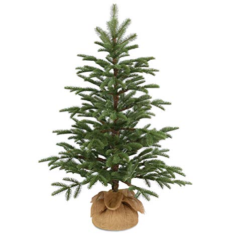 National Tree 3 Foot Feel Real PE Norwegian Seedling Tree in Burlap (PENG4-702-30-1)