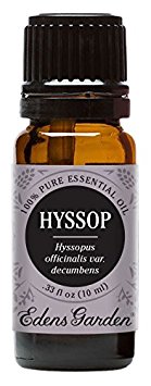 Hyssop 100% Pure Therapeutic Grade Essential Oil by Edens Garden- 10 ml