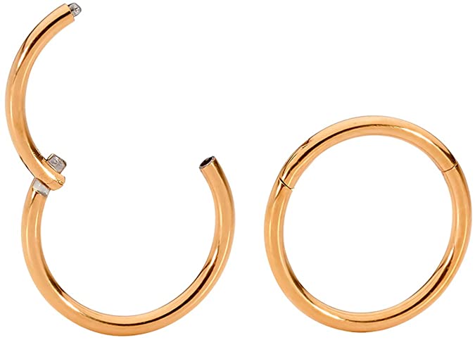 365 Sleepers 1 Pair Stainless Steel 1/4" (6mm) TINY 18G (Thin) Hinged Segment Ring Hoop Sleeper Earrings Body Piercing