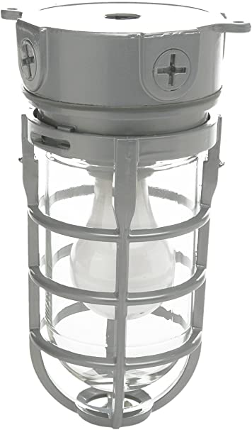 Woods L1706SV Vandal Resistant Security Light with Ceiling Mount (150W Incandescent Bulb, Silver)