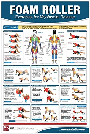 Productive Fitness Home Gym Work Out Poster - Laminated (Many Exercises)