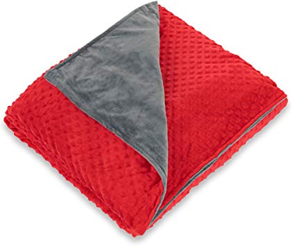 TOP Weighted Blanket with Duvet Cover (Gray/Red, 60" x 80" 15lbs)