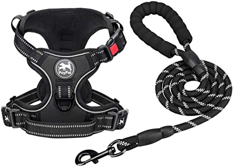 PoyPet Dog Harness and Leash Combo, Escape Proof No Pull Vest Harness, Reflective Adjustable Soft Padded Pet Harness with Handle for Small to Large Dogs(Black,S)