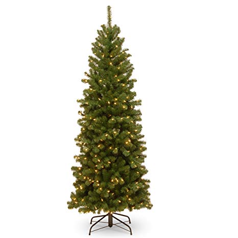 National Tree 6 Foot North Valley Spruce Pencil Slim Tree with 250 Clear Lights (NRV7-358-60)