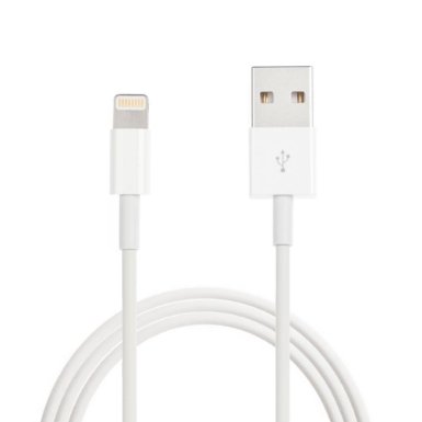 Apple USB Cable for iPhone 5 5c 5s 6 6 Plus 6s 6s Plus - White
