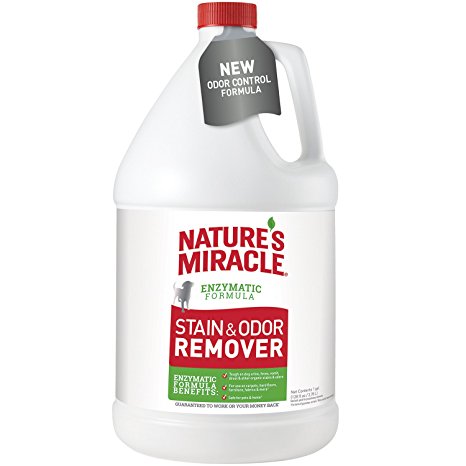 Nature's Miracle Stain and Odor Remover 32 oz