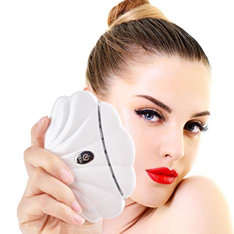 HailiCare LED Facial Massager, LED Photon Therapy & Vibration Facial Detoxifier, Skin Rejuvenation Machine, Skin Care Treatment Device for Face Cleansing Lifting Tighten Wrinkle Removal, 4 Models