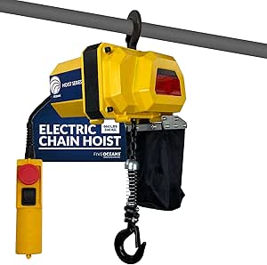 Five Oceans FO4438 660LBS / 300KG Electric Chain Hoist Single Phase Overhead Crane Garage Ceiling Pulley Winch Hook Mount w/6 FT Remote Control, 120 V / 60 HZ