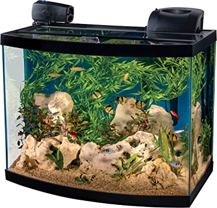 Tetra Connect Curved Aquarium Kit 28 Gallon