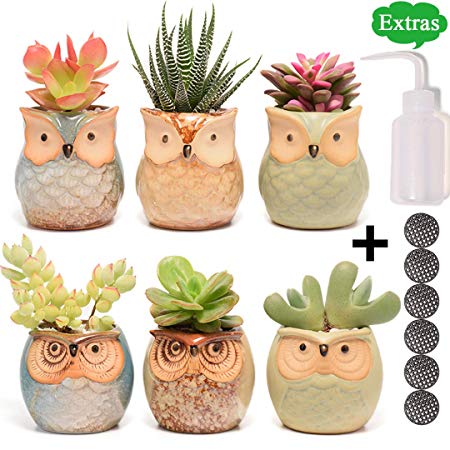 Succulent Planter, Cute Ceramic Owl Planters with Drainage, 2.5 Inch Small Flower Pot, Set of 6 Pots for Plants