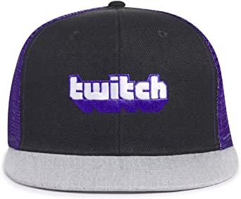 Twitch 3 Panel Trucker Hat Purple