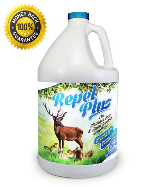 Repel PLUS Deer & Small Animal Repellent Concentrate (Repels Deer, Chipmunks, Rabbits, Voles, Squirrels, Groundhogs) (32 oz)