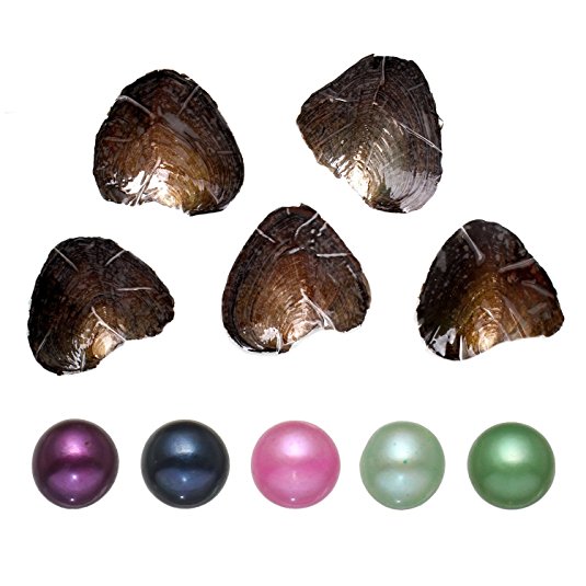 5PC Freshwater Cultured Love Wish Pearl Oyster with Pearl Inside Five Colors (7-8mm)