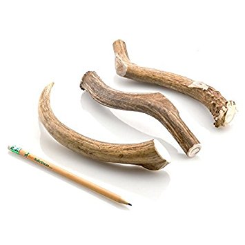 Deer Antler Dog Chew Toy for All Dog Breeds by CZ Grain. Various sizes available.