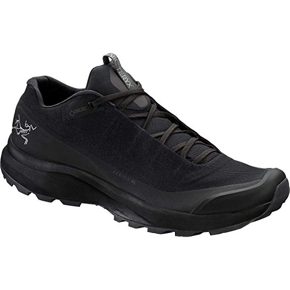 Arc'teryx Aerios FL GTX Hiking Shoe - Men's