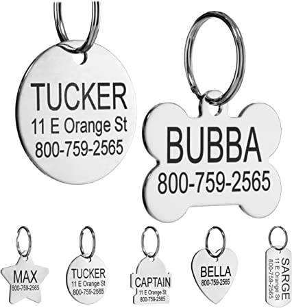 Providence Engraving Custom Engraved Stainless Steel Pet ID Tags - Small or Regular Sized Customizable Stainless Steel Dog Tag or Cat Tag in Bone, Heart, Round, Star, and Rectangle Shapes