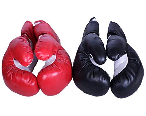 2 Pair Red and Black 10oz Youth Boxing Gloves Punching