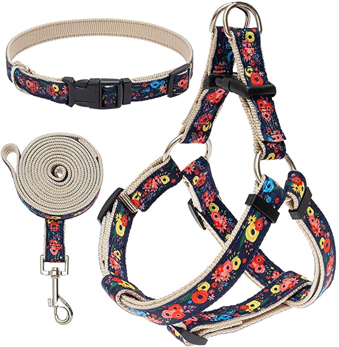 EXPAWLORER No Pull Dog Harness and Leash Set with Collar - Heavy Duty & Adjustable Basic Harness for Small Medium Dogs & Cats