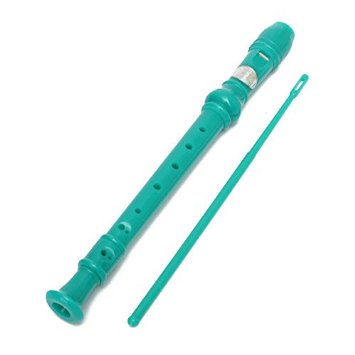 KINGSO Soprano Descant Recorder 8-Hole With Cleaning Rod   Case Bag Music Instrument Green