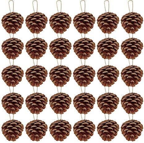 Supla 30 Pcs Christmas Hanging Real Preserved Pine Cones Ornaments 2"-3" Tall Christmas Tree Hanging Pinecone Ornaments