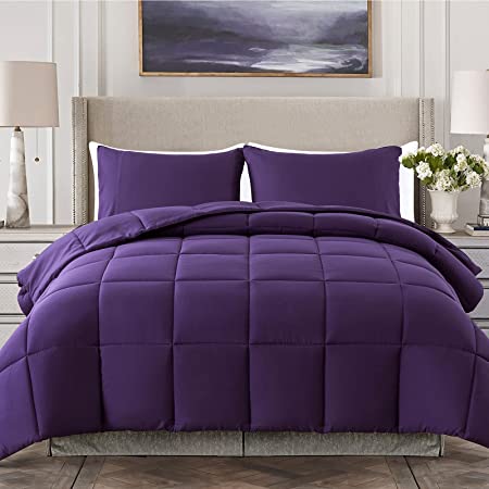 Cosybay 3 Piece Comforter Set- Quilted Ultra-Soft Microfiber- Lightweight Down Alternative Comforter with Shams- All-Season Bedding Set-Queen, Purple