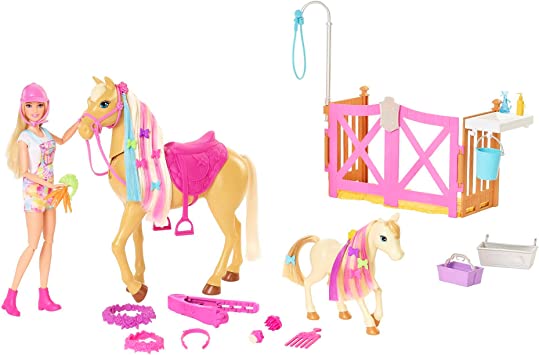 Barbie Groom 'n Care Horses Playset with Barbie Doll (Blonde 11.5-in), 2 Horses & 20  Grooming and Hairstyling Accessories, Gift for 3 to 7 Year Olds [Amazon Exclusive]