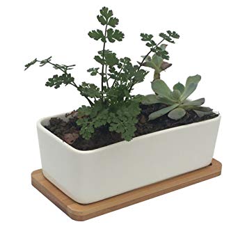 Vtete 6.5 Inch Ceramic Succulent Planter Pot with Bamboo Tray (Not Includes Plants) ~ Rectangular White Window Plant Container Box