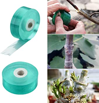 ANCIRS 2 Pack Grafting Tape, Bio-degradable Moisture Barrier, Stretchable Clear Floristry Film for Fruit Tree Plant (Green 0.78in Wide)