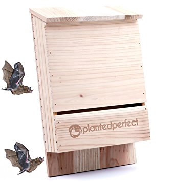 BAT HOUSE PEST CONTROL - Bats Shelter Protects Home From Mosquitoes and Bugs - Dual Chamber Wooden Bat Boxes Built to Last - Houses Up to 360 Bats - Repels Pests From Garden - SATISFACTION GUARANTEE