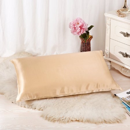 ALASKA BEAR - Natural Silk Pillowcase, Hypoallergenic, 19 momme, 600 thread count 100 percent Mulberry Silk, Queen Size with hidden zipper(Champagne)