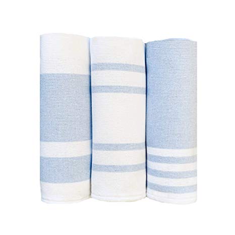 Accented Kitchen Towels, Set of 3 - Thick, Fast Drying, Absorbent Tea Towels - 100% Turkish Cotton Dish Towel Set with Hanging Loop - Baby Blue (26 x 19 inches)