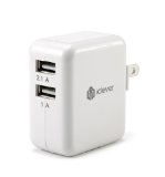 EU Plug iClever 31A 15W Dual USB Universal Travel and Wall Charging Station for all iPhone iPad Samsung Galaxy Android HTC One Motorola LG and Digital Cameras or any other USB-Charged Device with EU Plug