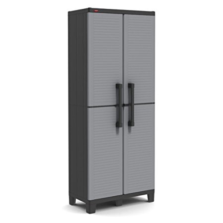 2 Door Storage Cabinet, Finish: Black and gray