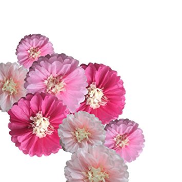 Fonder Mols 9pcs Tissue Paper Chrysanth Flowers Pom Poms Flower Wedding Nursery Wall Backdrop Centerpiece Decor