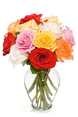 Benchmark Bouquets Dozen Rainbow Roses, With Vase