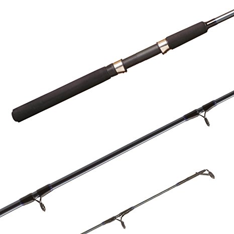 Shimano FX SPINNING, Graphite Freshwater Spinning Fishing Rod, 6'0" Medium, 2-Piece