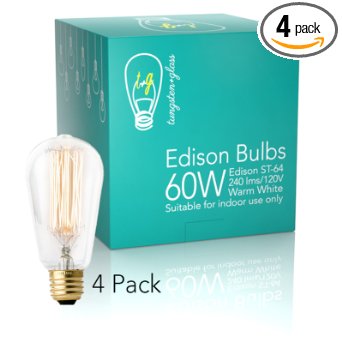 Edison Bulbs 4 Pack - Dimmable 60W Incandescent Exposed Filament Light Bulb - 240 Lumens