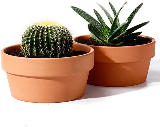 POTEY Terracotta Shallow Planters for Succulent - 6.1 Inch Cactus Plant Containers Indoor Garden Bonsai Pots with Drainage Hole - Set of 2, Unglazed