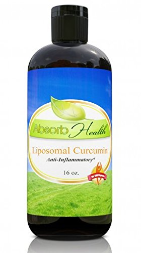 Liposomal Curcumin | Best Price on the Net | 95% Curcuminoids | Highest Dose (16oz)