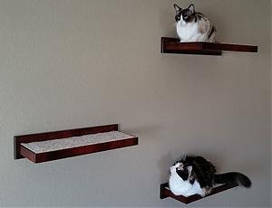 Wooden Cat Perch Shelf Floating Wall Mount Amish Made - Floating Cat Wall Shelf Wood, Wall Cat Shelf