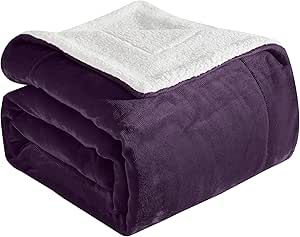 Elegant Comfort Ultra Soft Reversible Flannel Sherpa Blanket - Cozy Silky Fleece Throw for Couch, Bed - Plush Fuzzy Warm Winter Blanket for Gift, Twin XL, Purple