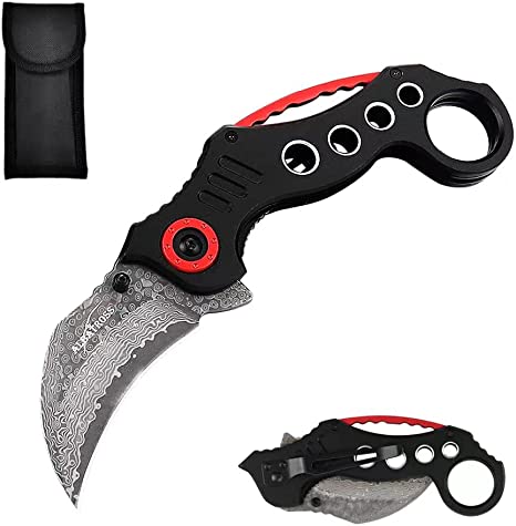 ALBATROSS EDC Cool Spring Assisted Folding Pocket Knives Tactical Sharp Raptor Claw Knife (Black/Damascus)