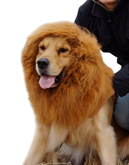 AshopZ Lion Wig for Large Dogs for Party/Festivals Costume Dress up, L