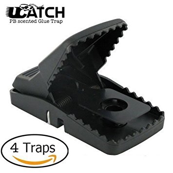 RAT CATCHER COMBO - Includes 4 Trapper T-rex Rat traps & 1 Ucatch Peanut butter scented Glue trap