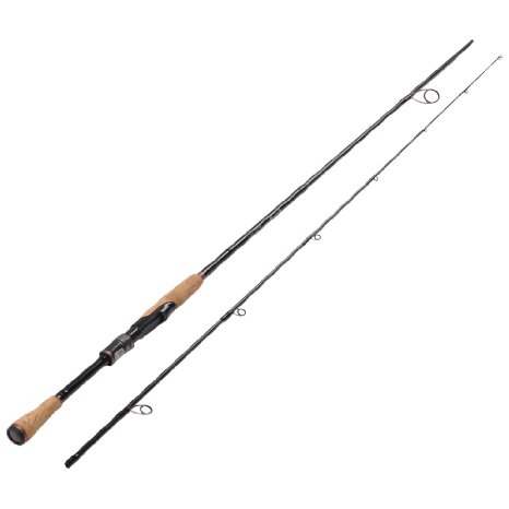Fiblink Graphite Spinning Fishing Rod Portable Spinning Rod 2-Piece Spin Rod