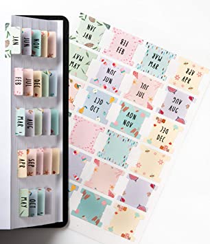DiverseBee Laminated Planner Monthly Tabs, 24 Peel and Stick Tabs for Notebooks (12 Month Tabs and 12 Blank Tabs), Calendar Monthly Tab Stickers for Planners, Monthly Dividers (Assorted)