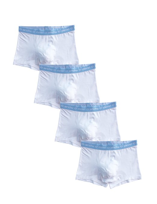David Archy Men's 4 Pack Micro Modal Separate Pouches Trunks